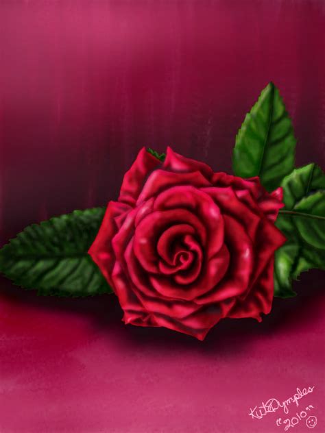 The Rose ← A Photorealism Speedpaint Drawing By Kutedymples Queeky