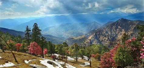 20 Places To Visit In Uttarakhand Magicpin Blog