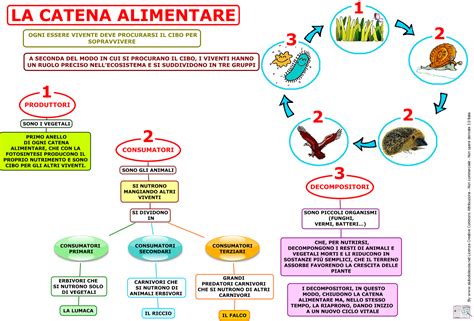 Segui la mappa ti sarà più facile studiare Maestra Gerardina