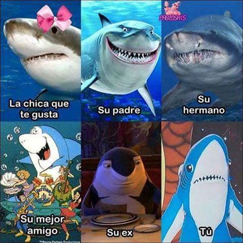 Tu Vida De Tiburón Spanish Memes Memes Funny