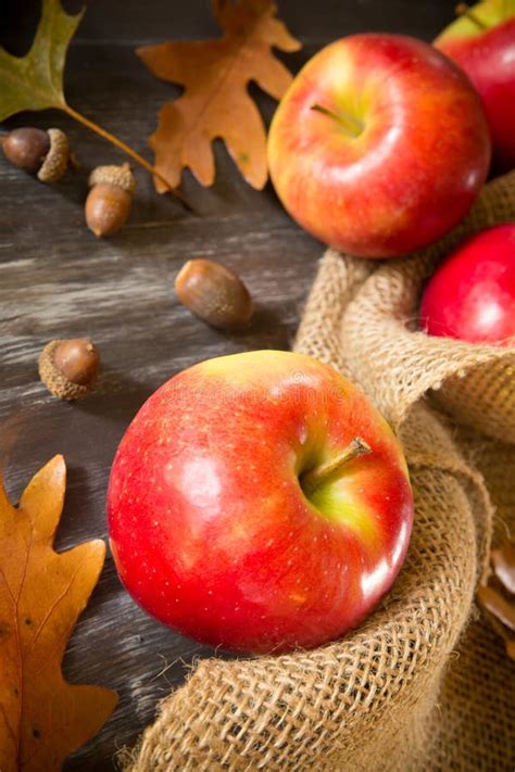 Fall Apples Stock Photo Image Of Autumn Color Leaf 60340136