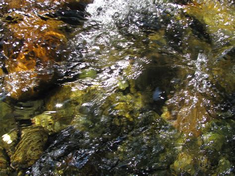 Clear River Water Free Image Download