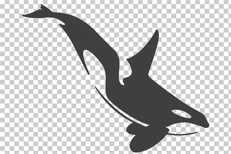 Killer Whale Cetaceans Tattoo Toothed Whale Png Free Download Killer Whale Tattoo Whale