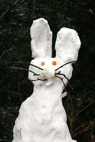 Snow Easter Bunny If It Snows On Easter Sunday You Just H Flickr