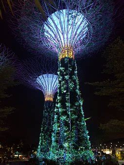 Plus De Images De Garden By The Bay Singapore Et De Singapour Pixabay