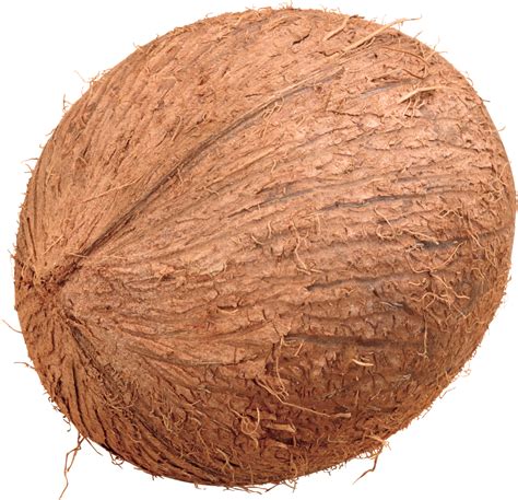 Coconut Png Image
