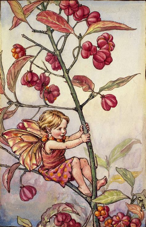 The Spindle Berry Fairy Flower Fairies
