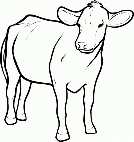 30 Free Cow Coloring Pages Printable