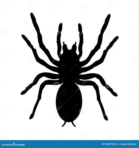 Biggest Spider Symbol Tarantula Vector Silhouette Isolated On White