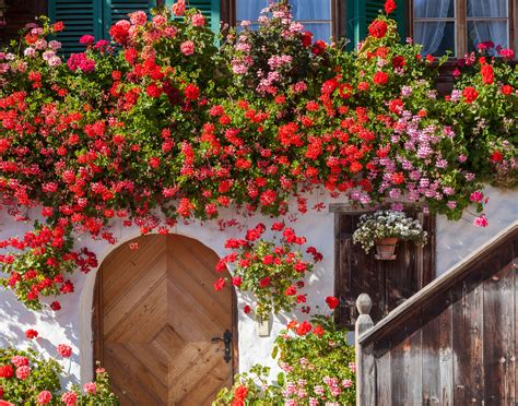 Beautiful Floral Landscapes The Most Gorgeous Floral Entryways