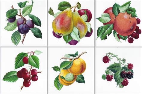 1926 Fruit Tile 6pc Mix Set On A Gloss Or Matte 6 Etsy In 2022