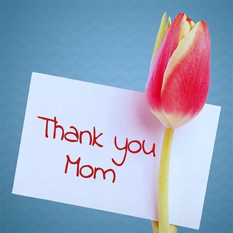 Thank You Mom Pictures Photos And Images For Facebook Tumblr