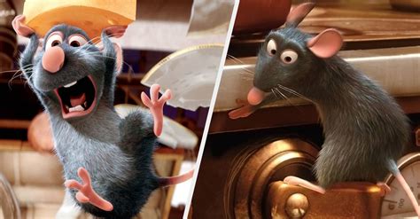 16 Ratatouille Moments That Are Also Applicable To My Quarantine Cooking