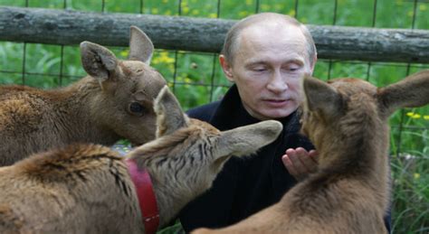 Putin Announces Tougher Penalties For Animal Cruelty In