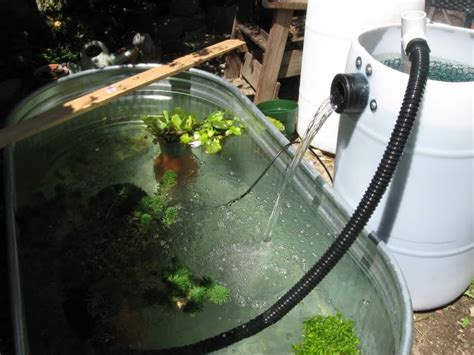 Duck pond filter azcolombiafta co. Diy Skippy/doc Style Filter Assembly - Koi Ponds | Diy ...