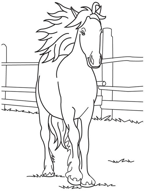 barbie horse coloring page coloring home