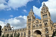The Natural History Museum London | Freed From Time