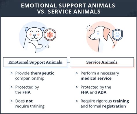 Emotional Support Animal Laws For Rentals What You Need To Know