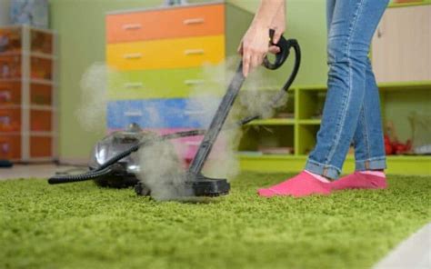 How To Kill Dust Mites In Carpet 9 Easy Methods
