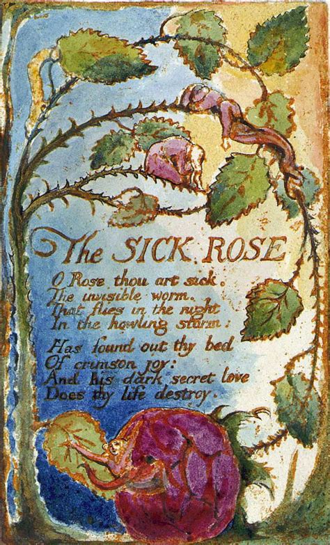 The Sick Rose A Poem By William Blake Meaning Morantrust