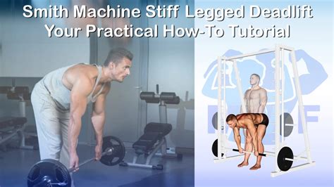 Smith Machine Stiff Legged Deadlift Your Practical How To Tutorial