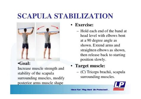 Muscle Strengthening Scapular Muscle Strengthening Exercises