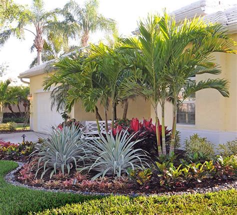 30 Small Palm Trees Front Yard Design Dhomish