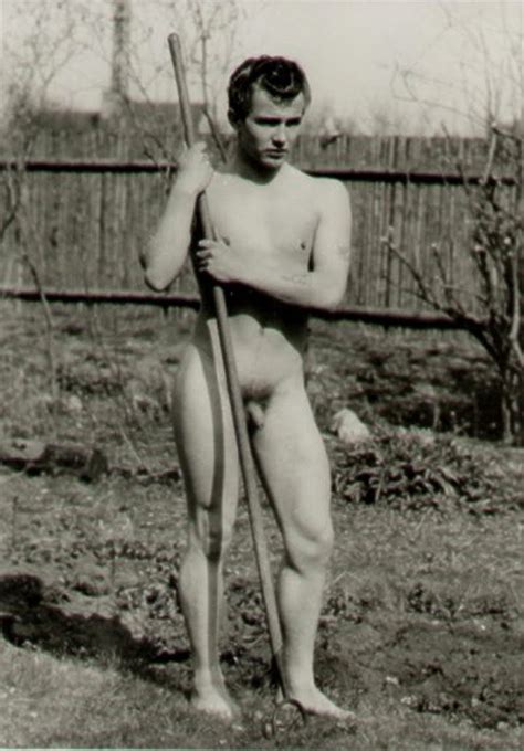 Hairy Vintage Male Nudes Nude Pic