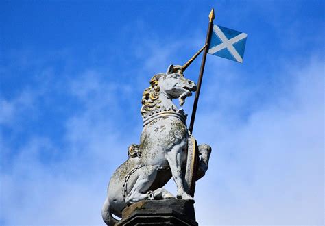 Embracing The Enigmatic Why Scotland Chose The Unicorn As Its National
