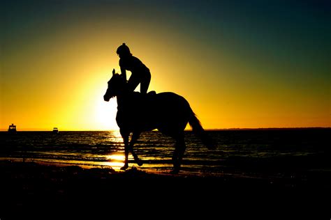 Free Images Beach Sea Silhouette Sunrise Sunset Morning Boy