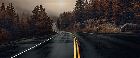 2560x1080 Road Between Woods Wallpaper2560x1080 Resolution Hd 4k