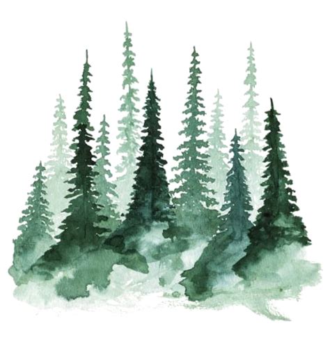 Forest Png Transparent Images Png All