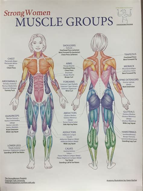 Collection by medical books free for all. Pin by Debbie Thompson on AAnatomy charts (With images ...