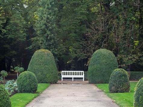 Jardin de catherine est une entreprise française fondée spécialisée dans le mobilier pour jardin. Château de Chenonceau - le jardin de Catherine de Médicis - Un Jour de Neige