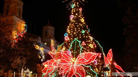 Nativity scenes 'nacimientos' or 'pesebres' are also popular. Traditional Puerto Rican Christmas Cookies : Pistachio ...