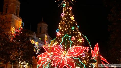 We did not find results for: Traditional Puerto Rican Christmas Cookies : Pistachio ...