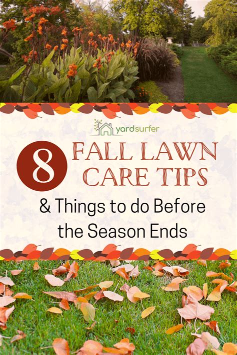 8 Fall Lawn Care Tips And Things To Do Before The Season Ends Yard Surfer