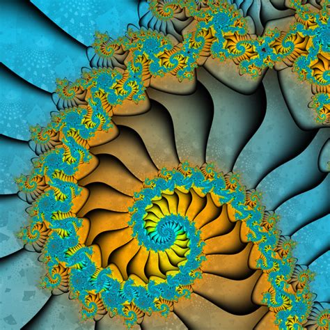 Spiral Flickr Fibonacci Art Project Patterns In Nature Textures
