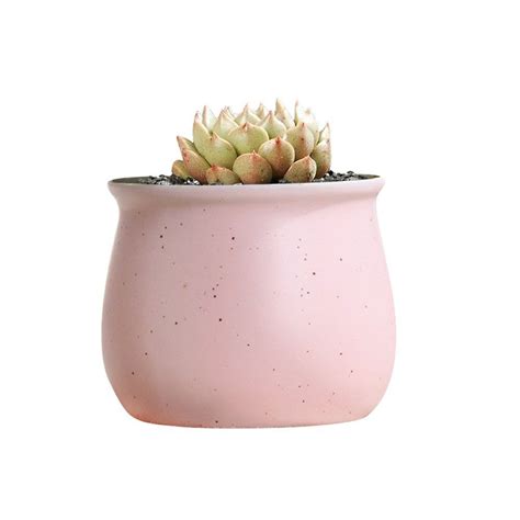 Gelive Macaron Colorful Small Succulent Planter Ceramic Flower Pot