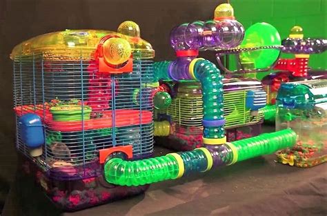 Cool Hamster Cages With Tubes And Stuff Nostalgia