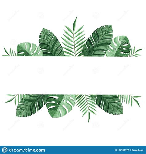 Watercolor Green Tropical Border Isolated On White Background Palm