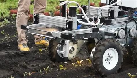 Weed Weeding Robot Robis Has Been Created At The University Of