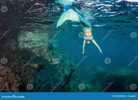 Blonde Beautiful Mermaid Diver Underwater Stock Photo Image Of Human