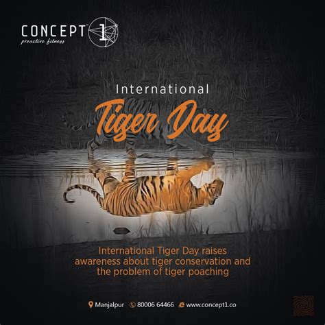 International Tiger Day Raises Awareness About Tiger Conservation And