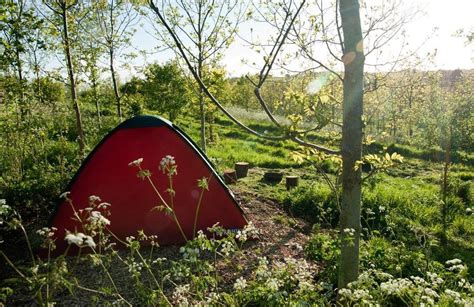 Back To Basics Natural Camping With Campfires Encouraged And Easy