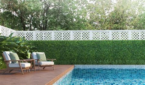 Swimming Pool Privacy Ideas From Plants To Fencing Neighbourly