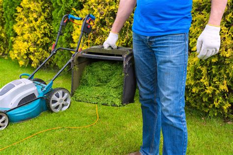 Tips To Look For While Hiring Lawn Care Company