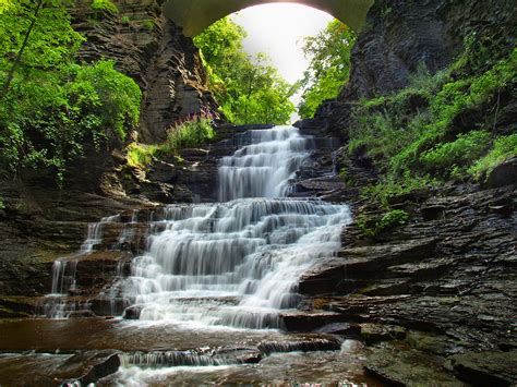 Wallpaper Forest Waterfall Nature River Arch Jungle Stream