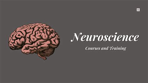 11 Best Neuroscience Courses And Training 2024 Edition