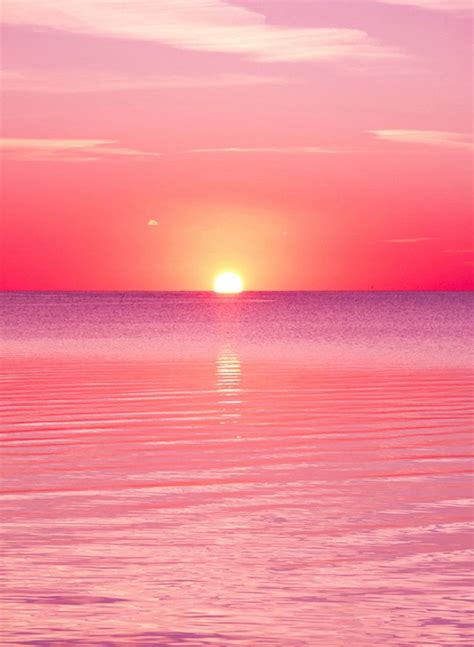 1544 Pink Sunset Iphone Wallpaper Pink Sunset Sunset Wallpaper Sunset